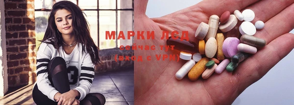 мяу мяу мука Аркадак