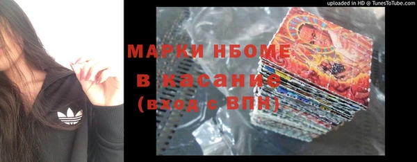 индика Арсеньев