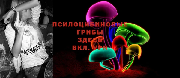 шишки Армянск