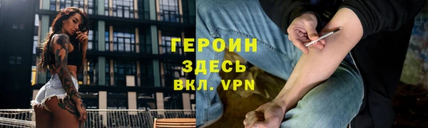 индика Арсеньев