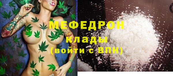 индика Арсеньев