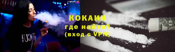 шишки Армянск