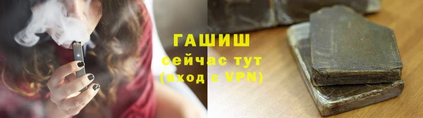индика Арсеньев
