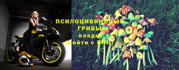 индика Арсеньев