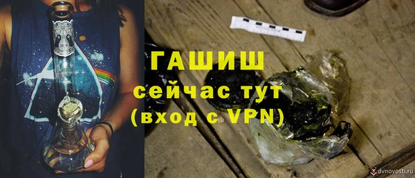 индика Арсеньев