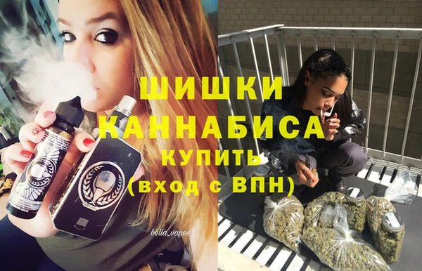 индика Арсеньев