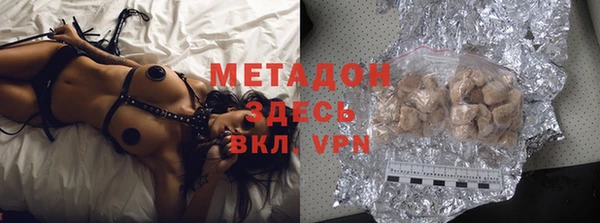 индика Арсеньев