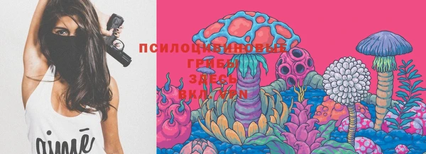 мяу мяу мука Аркадак