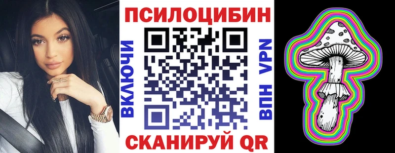 Купить где  Моршанск  Галлюциногенные грибы Cubensis 