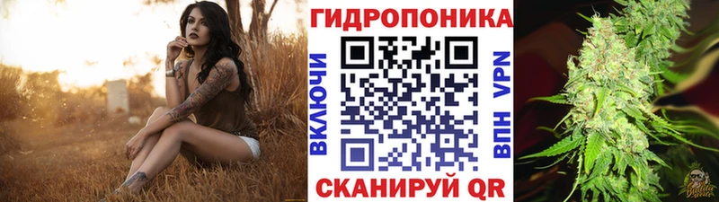 Купить закладки  Моршанск  Бошки марихуана марихуана 